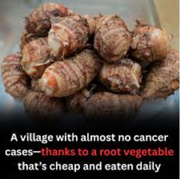 A village with strikingly low cancer rates—and their secret isn’t expensive supplements, but a humble root vegetable eaten daily